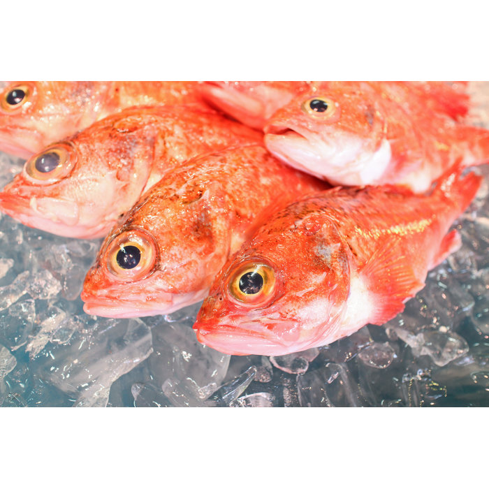 Highland Dunes Rosy Seabass Wayfair.co.uk